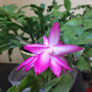 Meet your Posher, Hiedi